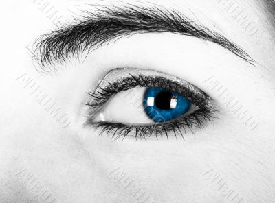 Blue eyes Blue eyes