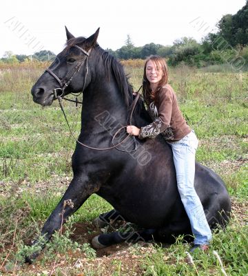 sitting horse