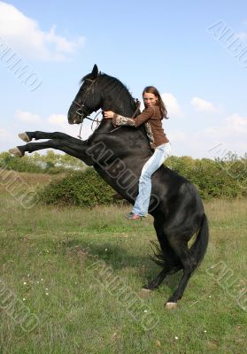 rearing horse