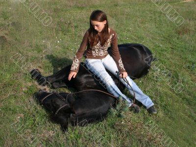 horse laid down and teen