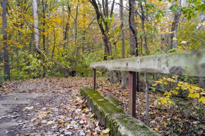 Concrete in the Woods