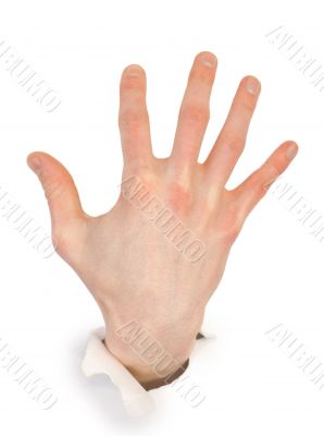 Male hand through white paper