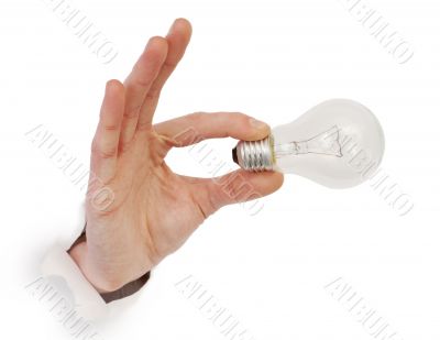 Male hand holding bulb