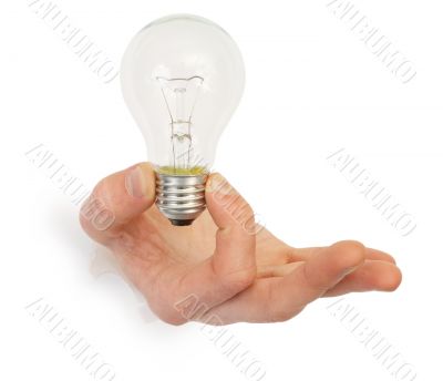 Male hand holding lbulb