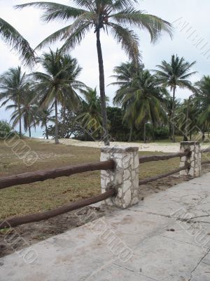 path by a tropical beach path by a tropical beach