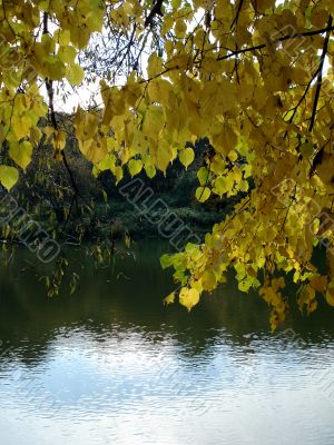 Autumn reflection