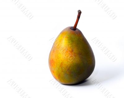 Ripe green pear