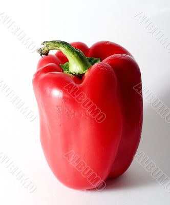 Sweet pepper