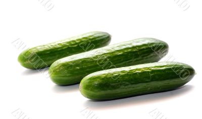 Green shine cucumbers