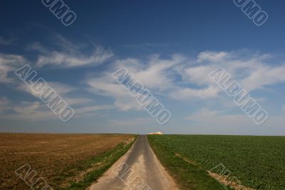 footpath, fields and cirrus clouds