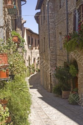 Spello - Typical old street with plants and flowers