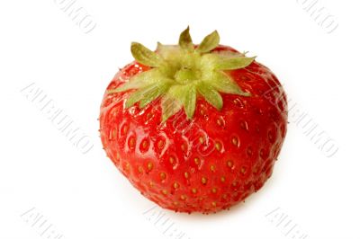 Ripe Strawberry