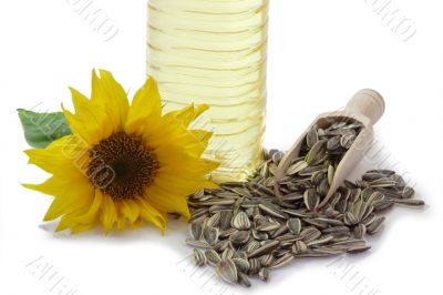 Sunflower Seeds with Blossom and Oil