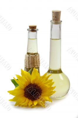 Sunflower Oil in Bottles