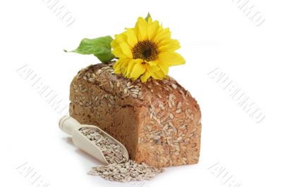 Bread with Sunflower Seed