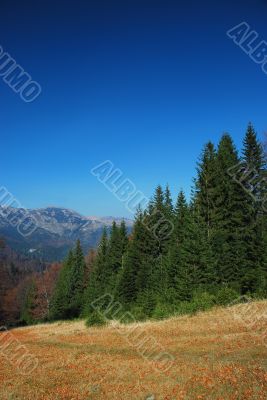 ROMANIAN LANDSCAPE ROMANIAN LANDSCAPE