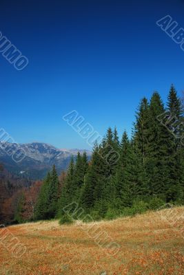 ROMANIAN LANDSCAPE