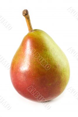 Seckel Pear