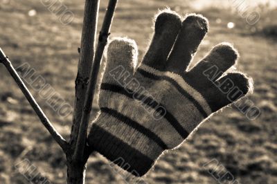 Warm glove