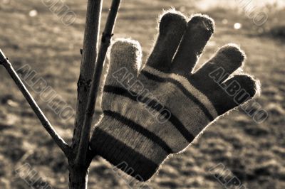 Warm glove Warm glove
