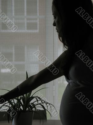 pregnant woman silhouette in front of window