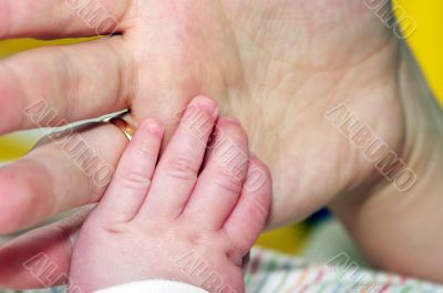 Mother`s and baby`s hands