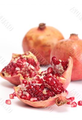 pomegranate