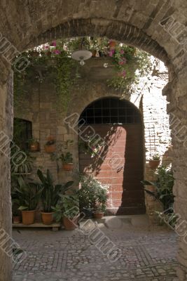 Spello - Typical house with potted plants and flowers