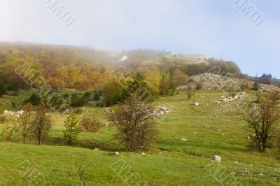Foggy morning on a mountain plateau