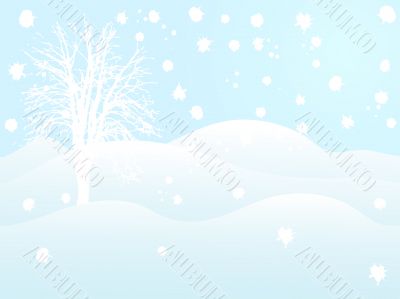 Winter landscape Winter landscape