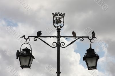 Pigeons sitting on the street lamp