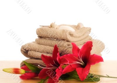Spa Table Spa Table