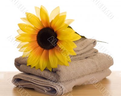 Relaxation Time Relaxation Time