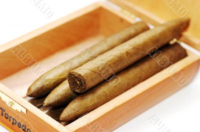 Cigars in box