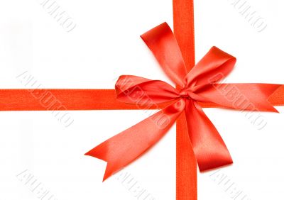 Decor on white background Decor on white background