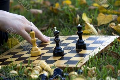 chess on the grass through the leaves