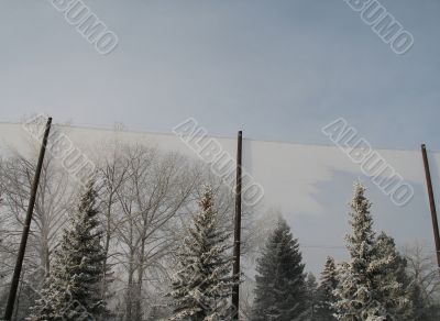 winter forest behind an fence winter forest behind an fence
