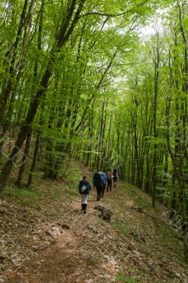 Morning of the tourists