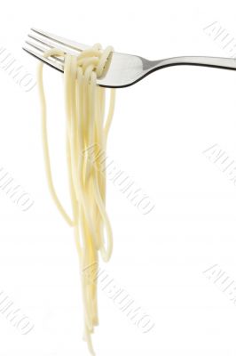 spaghetti