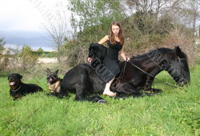 horse laid down, dogs, and teen