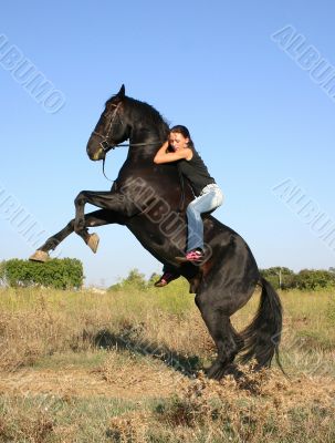 rearing stallion