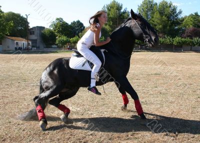 dressage