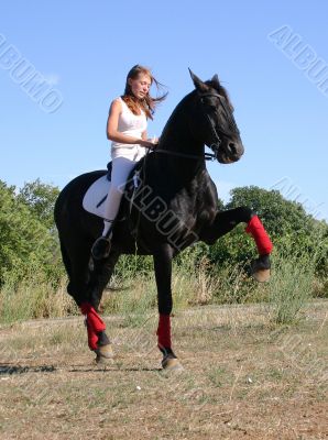 dressage