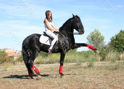 dressage