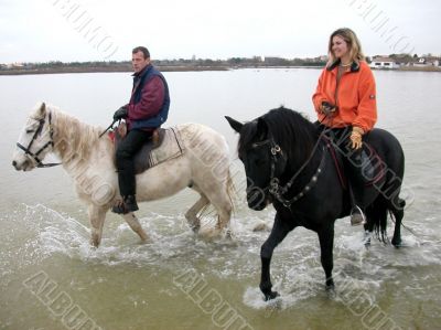 couple, horses and sea