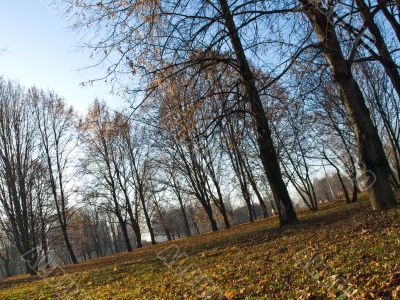 Autumn outdoor landscape