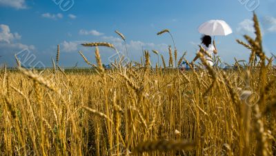 Young girl with umbrella walks on a field