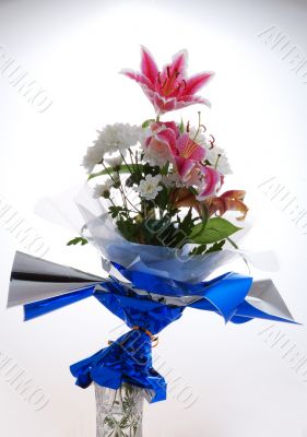 Large pink soft and tender open flower Large pink soft and tender open flower