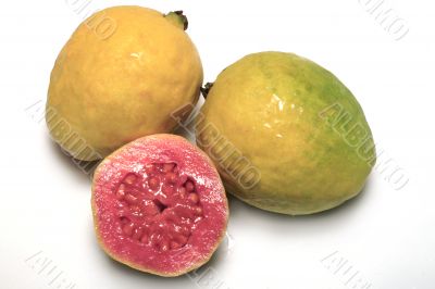 guava