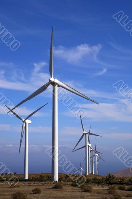 Eolic - wind turbine